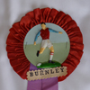 Burnley Rosette